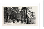 Bournemouth, the Invalids Walk in Public Gardens by Anonymous