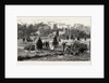 Bournemouth, View in Public Gardens by Anonymous
