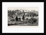 Bournemouth, View in Public Gardens by Anonymous