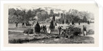 Bournemouth, View in Public Gardens by Anonymous