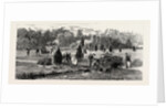 Bournemouth, View in Public Gardens by Anonymous