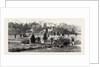 Bournemouth, View in Public Gardens by Anonymous