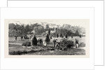 Bournemouth, View in Public Gardens by Anonymous