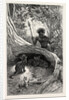 I Saw in the Hollow Between the Roots of a Big Tree Three Little Cubs About Two Months Old by Anonymous