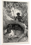 I Saw in the Hollow Between the Roots of a Big Tree Three Little Cubs About Two Months Old by Anonymous