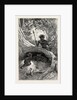 I Saw in the Hollow Between the Roots of a Big Tree Three Little Cubs About Two Months Old by Anonymous