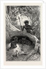 I Saw in the Hollow Between the Roots of a Big Tree Three Little Cubs About Two Months Old by Anonymous