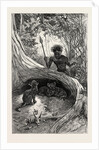 I Saw in the Hollow Between the Roots of a Big Tree Three Little Cubs About Two Months Old by Anonymous