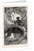 I Saw in the Hollow Between the Roots of a Big Tree Three Little Cubs About Two Months Old by Anonymous