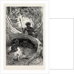 I Saw in the Hollow Between the Roots of a Big Tree Three Little Cubs About Two Months Old by Anonymous