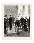 Bournemouth, the Prince Planting a Tree, at the Victoria Hospital in Commemoration of His Visit by Anonymous