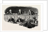 The First Court of Appeal by Anonymous