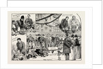 Children's New Year's Party Given at the Royal Military Academy, Woolwich by Anonymous