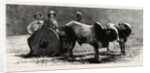 Prince Albert Victor with the Elephant King in a Jungle Waggon in Mysore, India by Anonymous