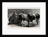 Prince Albert Victor with the Elephant King in a Jungle Waggon in Mysore, India by Anonymous