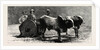 Prince Albert Victor with the Elephant King in a Jungle Waggon in Mysore, India by Anonymous