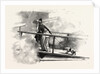 On a Peninsular and Oriental Company's Steamer by Anonymous