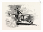 On a Peninsular and Oriental Company's Steamer by Anonymous
