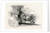 On a Peninsular and Oriental Company's Steamer by Anonymous