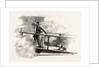 On a Peninsular and Oriental Company's Steamer by Anonymous