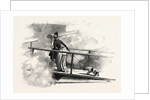 On a Peninsular and Oriental Company's Steamer by Anonymous