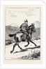 A Morning Ride in Athens, Greece, and for a Few Miles Trotted Merrily Along the High Road, Turning Neither to Right Nor Left by Anonymous