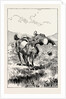 A Morning Ride in Athens, Greece, at an Evil Moment, However, I Urged My Steed to Take a Small Brook, and I Came to Grief by Anonymous