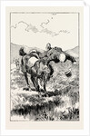 A Morning Ride in Athens, Greece, at an Evil Moment, However, I Urged My Steed to Take a Small Brook, and I Came to Grief by Anonymous