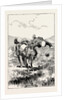A Morning Ride in Athens, Greece, at an Evil Moment, However, I Urged My Steed to Take a Small Brook, and I Came to Grief by Anonymous