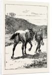 A Morning Ride in Athens, Greece, But My Zest for the Excursion Has Gone, and I Turn and Sadly Retrace My Way, Leading My Steed, Whose Saddle I Now Discover, for the First Time, is Missing! by Anonymous