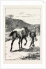 A Morning Ride in Athens, Greece, But My Zest for the Excursion Has Gone, and I Turn and Sadly Retrace My Way, Leading My Steed, Whose Saddle I Now Discover, for the First Time, is Missing! by Anonymous