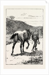 A Morning Ride in Athens, Greece, But My Zest for the Excursion Has Gone, and I Turn and Sadly Retrace My Way, Leading My Steed, Whose Saddle I Now Discover, for the First Time, is Missing! by Anonymous