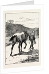 A Morning Ride in Athens, Greece, But My Zest for the Excursion Has Gone, and I Turn and Sadly Retrace My Way, Leading My Steed, Whose Saddle I Now Discover, for the First Time, is Missing! by Anonymous