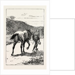 A Morning Ride in Athens, Greece, But My Zest for the Excursion Has Gone, and I Turn and Sadly Retrace My Way, Leading My Steed, Whose Saddle I Now Discover, for the First Time, is Missing! by Anonymous