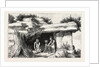 Swaziland, Bushmen or Cave Dwellers by Anonymous