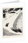 Tobogganing at St. Moritz, Engadine, Switzerland, Sled, Bobsleigh by Anonymous