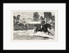 The House of Commons Point to Point Steeplechase Near Rugby, Mr. Elliott Lees Wins on Damon by Anonymous