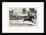 The House of Commons Point to Point Steeplechase Near Rugby, Mr. Elliott Lees Wins on Damon by Anonymous
