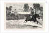 The House of Commons Point to Point Steeplechase Near Rugby, Mr. Elliott Lees Wins on Damon by Anonymous