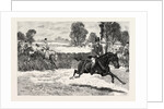 The House of Commons Point to Point Steeplechase Near Rugby, Mr. Elliott Lees Wins on Damon by Anonymous