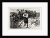 The Troubles in Crete, Insurgents in a Mountain Fastness on the Look Out for the Turkish Troops, Greece by Anonymous