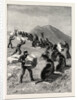 The American Fisheries Question, Driving Seals to the Killing Place, Behring's Straits, United States by Anonymous