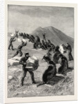 The American Fisheries Question, Driving Seals to the Killing Place, Behring's Straits, United States by Anonymous