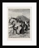 The American Fisheries Question, Driving Seals to the Killing Place, Behring's Straits, United States by Anonymous