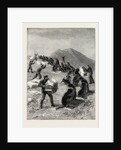 The American Fisheries Question, Driving Seals to the Killing Place, Behring's Straits, United States by Anonymous