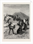 The American Fisheries Question, Driving Seals to the Killing Place, Behring's Straits, United States by Anonymous