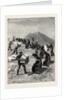 The American Fisheries Question, Driving Seals to the Killing Place, Behring's Straits, United States by Anonymous