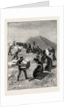 The American Fisheries Question, Driving Seals to the Killing Place, Behring's Straits, United States by Anonymous