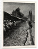 The American Fisheries Question, Shad Fishing on the Potomac, United States by Anonymous