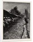 The American Fisheries Question, Shad Fishing on the Potomac, United States by Anonymous